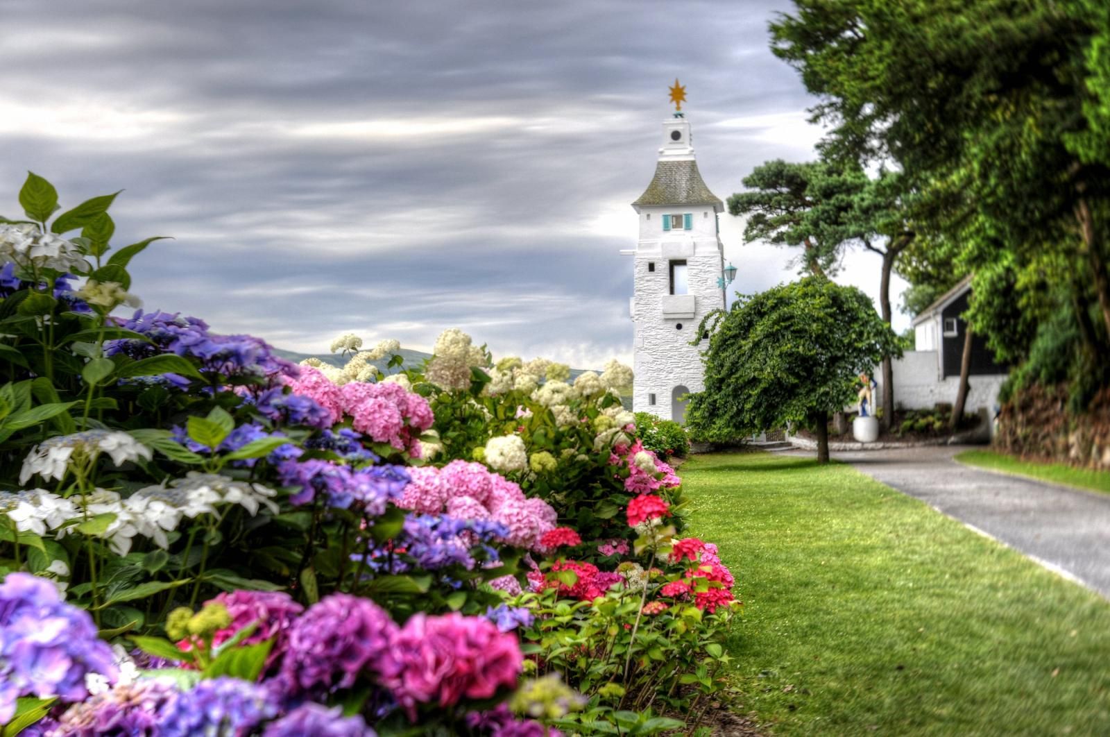 Press and Media Enquiries